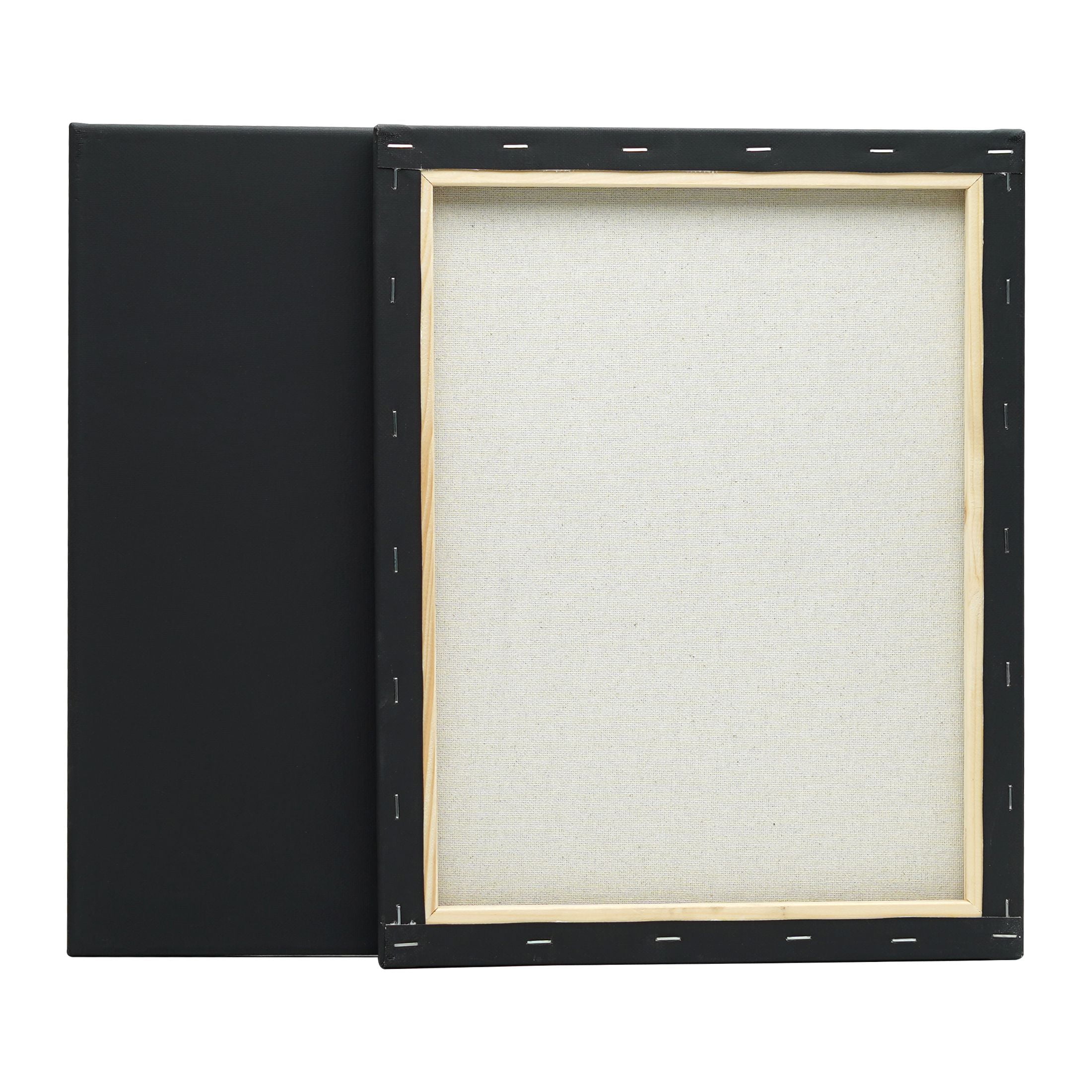 ミュージシャン Hi-STANDARD TM paint CANVAS Amazon.co.jp: Hi-STANDARD TM paint CANVAS ART : おもちゃ