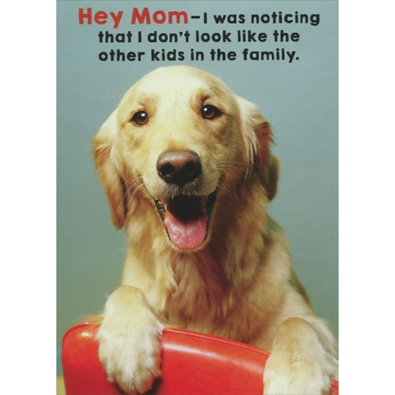 RSVP Golden Retriever Doesn't Look Like Other Kids Humorous / Funny Mother's Day Card from Dog