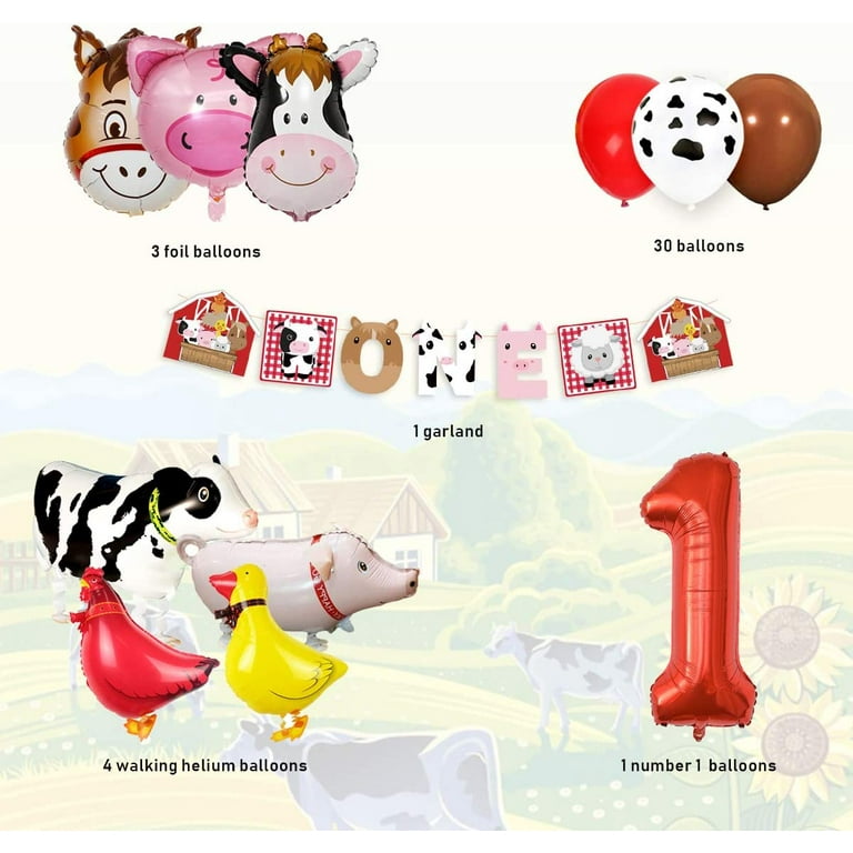Farm Animal 1st Birthday Party Decorations for Girls Boys - Animal
