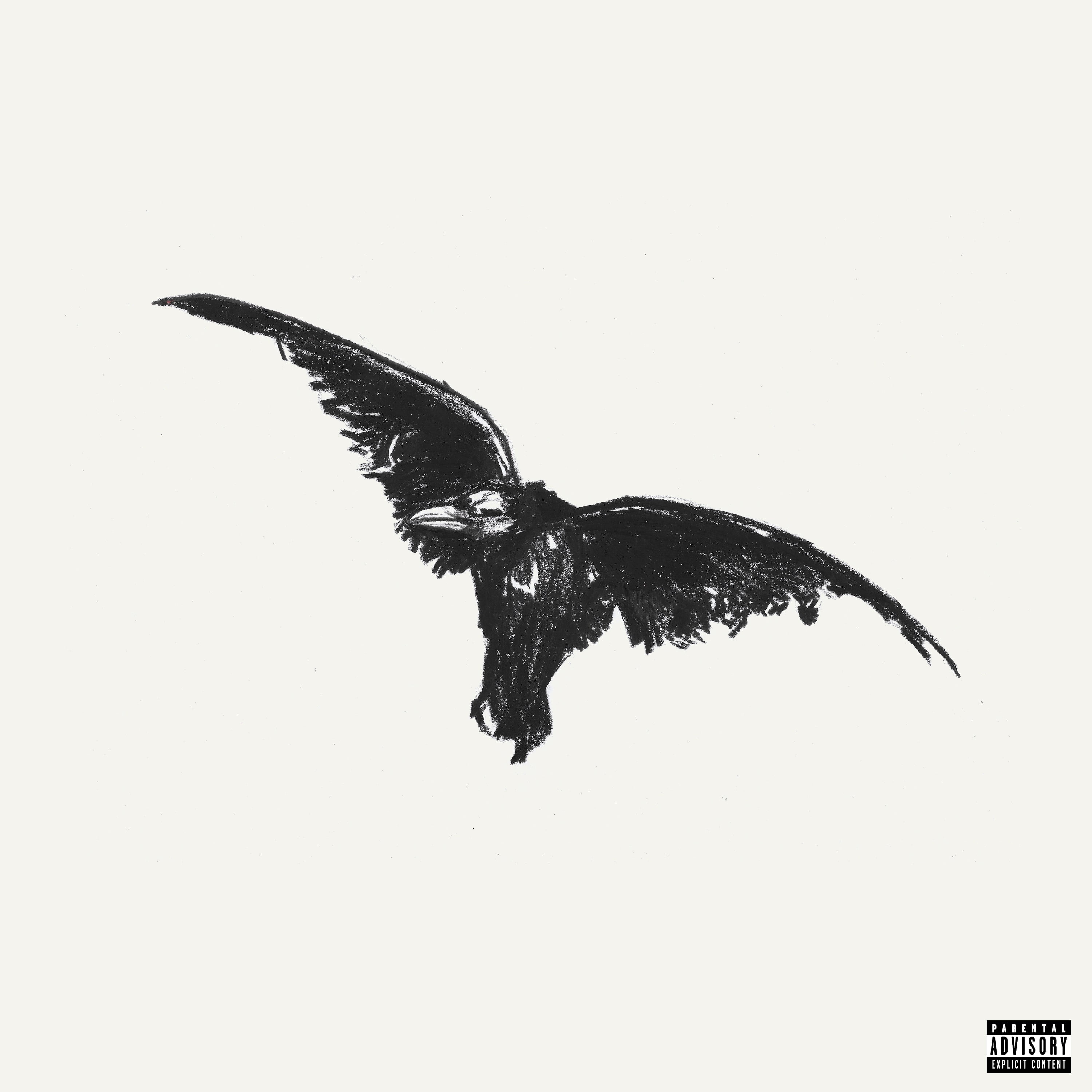 Conan Gray - Wishbone [Black Cat Edition LP] - Music & Performance