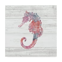 Trademark Fine Art 'Ocean Life III' Canvas Art by Sarah Adams