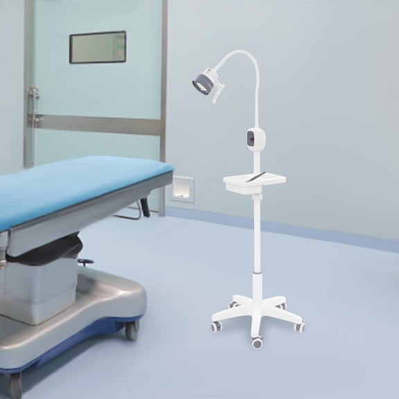 Medical Exam Lamp with Stand, Mobile LED Surgical Examination Lamp with 360° Rotation, Flexible Gooseneck Light, Floor Stand Oral Auxiliary Light for Dental Hospitals, Gynecology