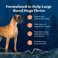 thumbnail image 5 of Blue Buffalo Wilderness High-Protein Adult Large Breed Dry Dog Food, Chicken, 28-lb., 5 of 12