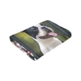 thumbnail image 6 of Wijzvio Cute Boston Terrier Dog Throw Blanket Soft Fuzzy Fleece Blanket For Couch Bed Living Room Decoration 80"X60", 6 of 9