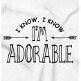 thumbnail image 2 of I Know I'm Adorable Charming Cute Bodysuit Jumper Girls Infant Baby Brisco Brands 24M, 2 of 6