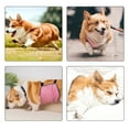 thumbnail image 2 of Washable Dog Belly Cover Permeable Pet Diaper Wrap Durability Dog Belly Wrap for Media Sized Dogs, 2 of 17