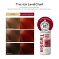 thumbnail image 3 of Red by Kiss Tintation Semi-Permanent Hair Color, Aloe Vera Water Based, Argan Oil, Olive Oil, Collagen & Keratin, Long-Lasting Color Dye (Copper Brown, 5 Fl Oz), 3 of 9