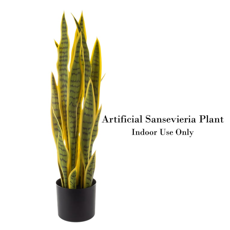 Faux Artificial Snake Plant in Pot Yellow Edged Leaf
