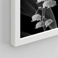 thumbnail image 5 of PixonSign Framed Canvas Print Wall Art Set - Black & White Duotone Hanging Flowers Posters - Set of 3 Nature Farmhouse Decor Minimalist Pastel Botanical Wall Décor for Living Room - 8"x10" White, 5 of 5