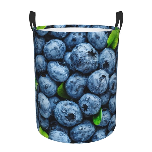 Balery Fresh Blueberries Cesta de ropa redonda con asas, impermeable, independiente, para ropa, juguetes, dormitorio y familia-Small