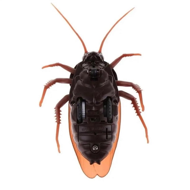Juguetes de simulación de cucaracha hormiga con control remoto inalámbrico, caja de color de devolución A