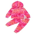 thumbnail image 1 of EIMELI Ensemble de Vêtements d'Automne pour Bébé Filles Sweat à Capuche Manches Longues Pantalons 2 Pcs, 1 of 7