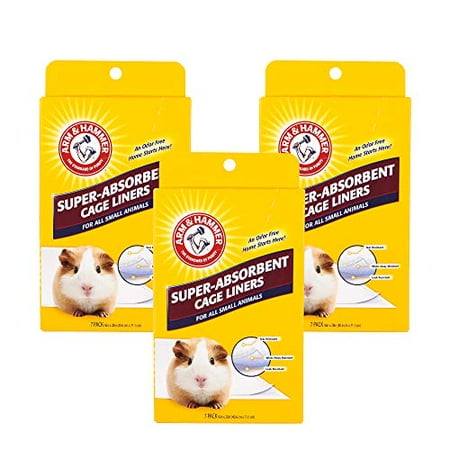 Pin On Guinea Pig Love