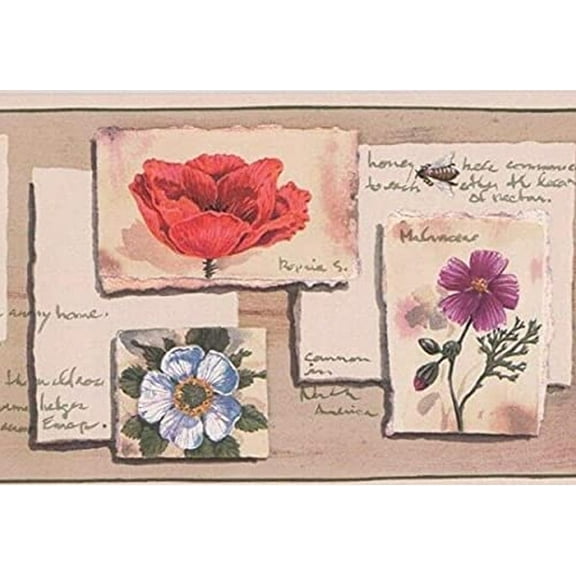 Concord Wallcoverings Wallpaper Border Floral Pattern Flowers on Postcards for Living Room Cottage, Cream Brown Purple Green Red Blue, 7 Inches by 15 Feet AB811B