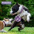 thumbnail image 2 of Golden Spike Collar for Dogs,With traction rope Spiked Dog Collar, Durable PU Leather Studded Dog Collar with Leash, Funny Mushrooms Rivet Small Puppy Pet Cat Adjustable Collar 1Pack, 2 of 6