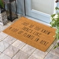 thumbnail image 3 of BINGLI Funny Welcome Door Mats Area Rugs for Front Porch Decor Mi Casa No ES Tu Casa Spanish Doormat Cactus Personalized Kitchen Rugs with Anti-Slip Rubber Back Novelty Gift Mat(23.6 X 15.7 in), 3 of 5