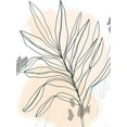 thumbnail image 2 of Vess, June Erica 25x32 White Modern Wood Framed Museum Art Print Titled - Palm Sketchbook II, 2 of 4
