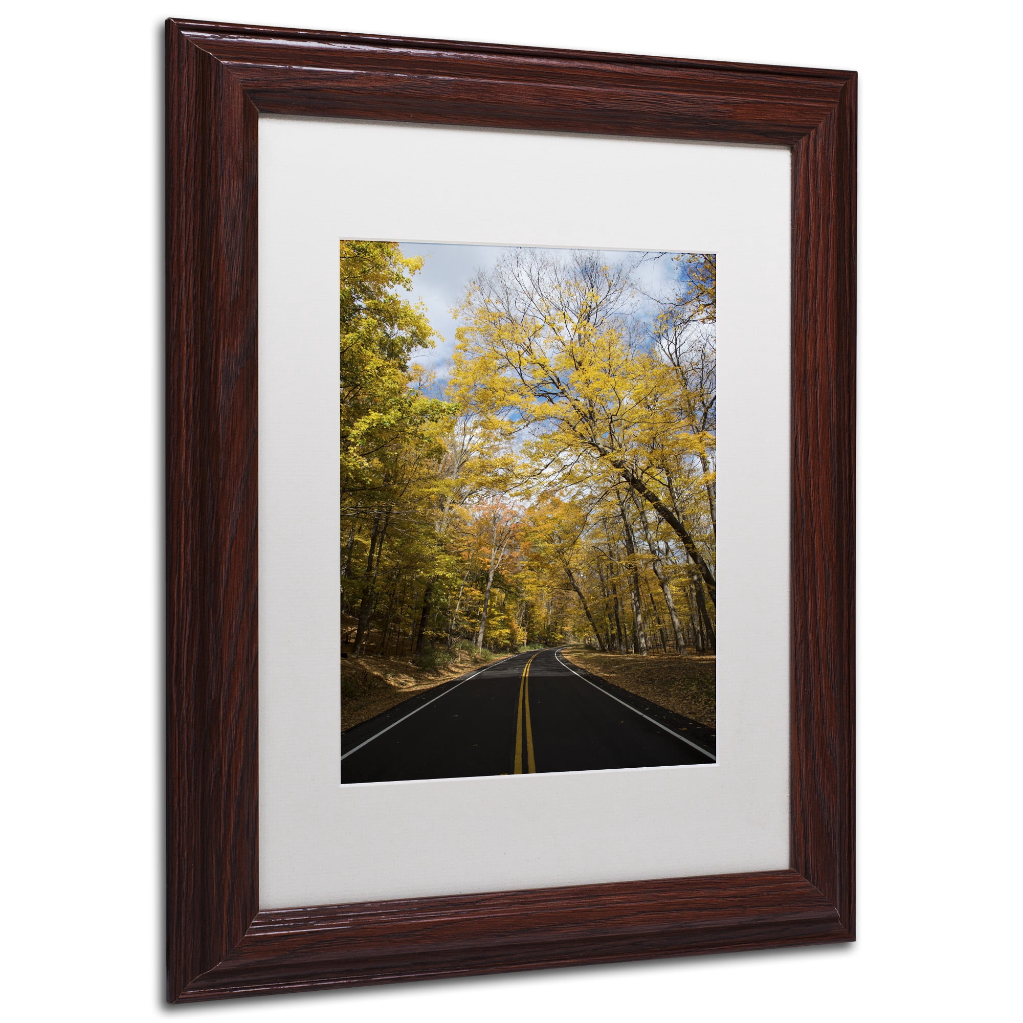 Trademark Fine Art "Autumn Along the Valley Park" Canvas Art by Kurt Shaffer, White Matte, Wood Frame