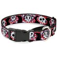 thumbnail image 1 of buckle down buckle-down pet dog collar, 1 of 1