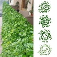 thumbnail image 2 of Artificial Ivy Hanging Vine Plant with Plastic Silk Cloth for Weddings, Festivals and Home Decor, 2 of 9