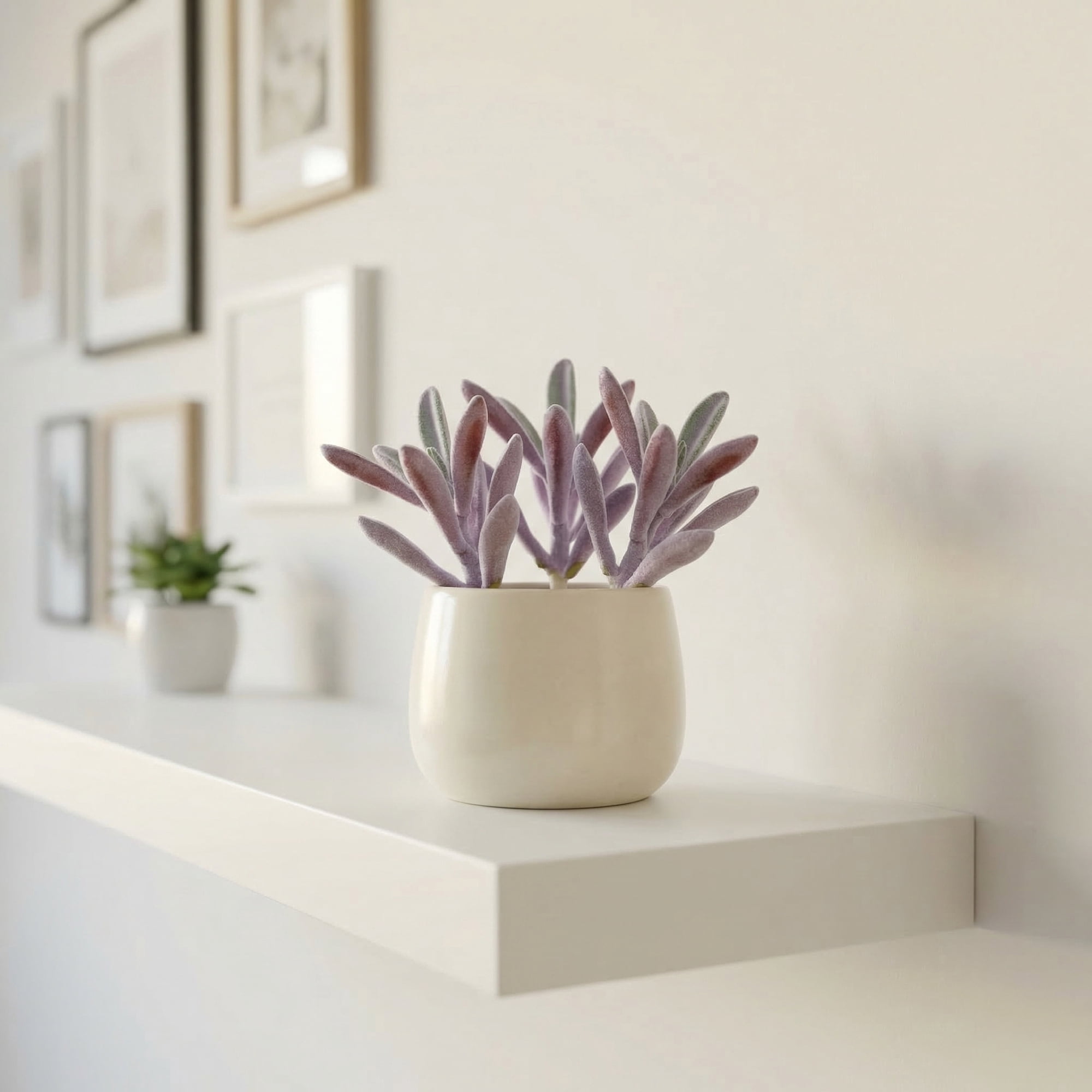Unique Bargains 10Pcs Flocked Artificial Succulents 3.5" Peperomia Purple Money Leaf Beige