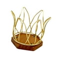 thumbnail image 4 of jifeng Coffee Filter Holder Container Organization Metal Wood Base Pod Holder Dispenser gold, 4 of 9