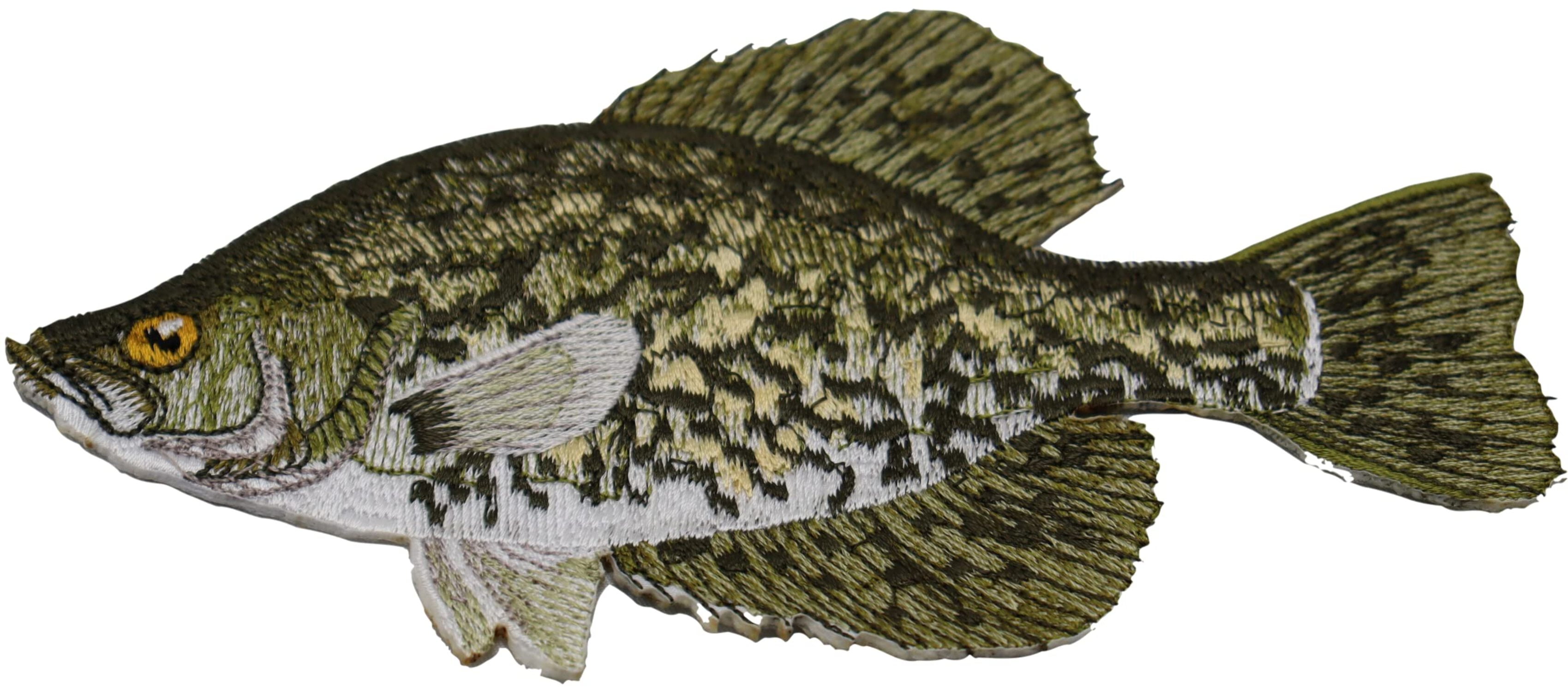 Crappie fish Embroidered Iron On/Sew patch [6" x 5"]