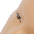 thumbnail image 5 of 5D Makeup Practice Face Board Kit Reusable 3.4oz Cream 28.1ml Liquid Teaching Practice Makeup Mannequin Tool Set, 5 of 5