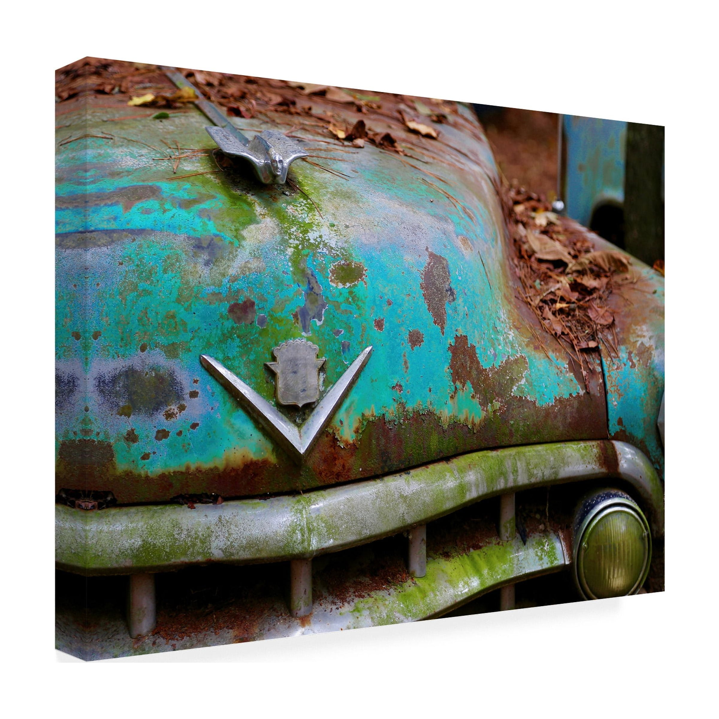 Susan Vizvary Photography 'Cadillac Hood Ornament' Canvas Art