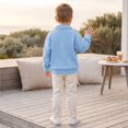thumbnail image 6 of Grblisyd Boys Waffle Knit Quarter Zip Sweatshirts Long Sleeve Stand Up Collar Pullover Soft Breathable Casual Outfits for Kids, 6 of 6