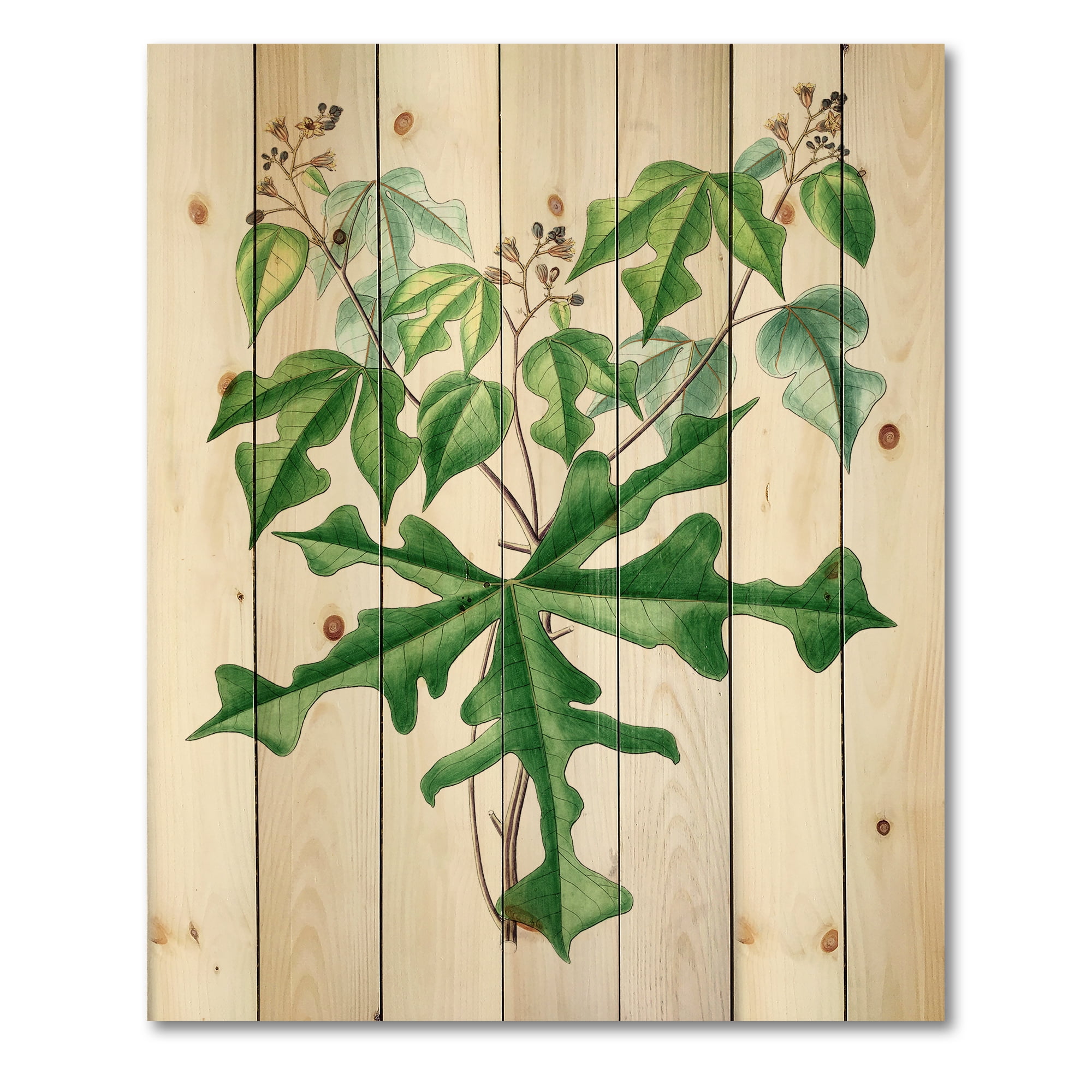 Designart 'Ancient Drawing of Wild Plants' Traditional Print on Natural Pine Wood