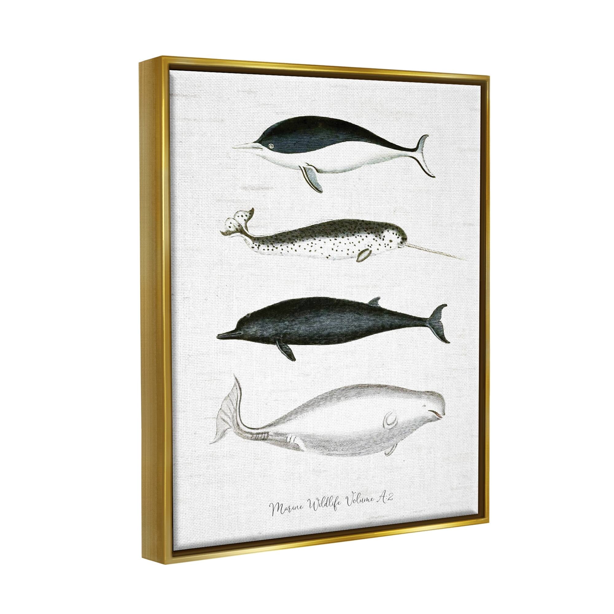 Stupell Industries Nautical Sea Life Whales Narwhal Marine Drawings Graphic Art Metallic Gold Floating Framed Canvas Print Wall Art, Design by Lettered and Lined
