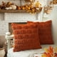 thumbnail image 5 of Juego de 2 Fundas de Almohada de Otoño de 45 X 45 cm, Calabaza Decorativa de Otoño, Suave Felpa de Piel Sintética, para Halloween., 5 of 5
