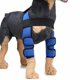 thumbnail image 3 of Suministros para mascotas Rodilleras Protectores de piernas para perros Protector de piernas para perros Cirugía para perros Cubierta protectora para lesiones (Azul S) JM, 3 of 5