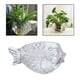 thumbnail image 4 of Jarrón de cristal en apariencia de , soporte para flores, florero de cristal hecho para centro de de flores hidropónicas, Soledad florero suculento, 4 of 10