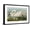 Black Frame, variant on Art.com Common American Swan Giclee Print by John James Audubon, 18" x 12"