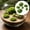 G, variant on Z52LingLing Decoration Artificial Moss Rock Set 6 Piece Short Bristle Faux Stone Decoration