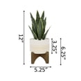 thumbnail image 2 of Flora Bunda CS3039E-BK 12'H Snake plant in 4.75' Ceramic Planter on Wood Stand, 2 of 4