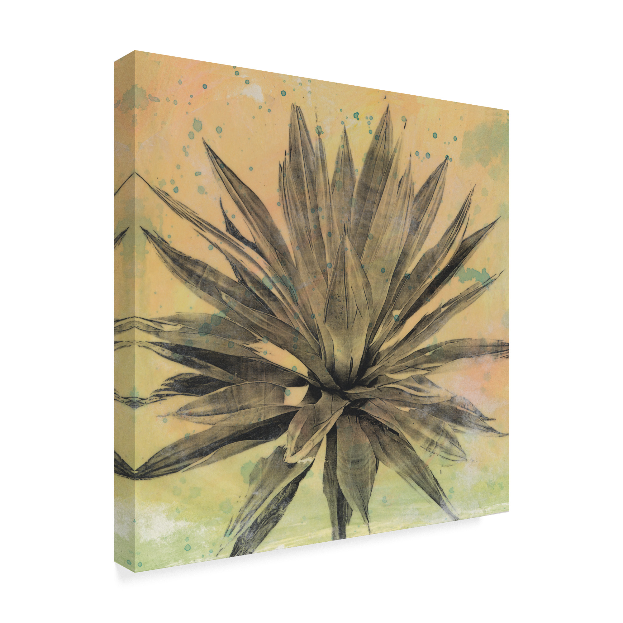 Trademark Fine Art 'Desert Dreams I' Canvas Art by Naomi McCavitt