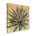 thumbnail image 2 of Trademark Fine Art 'Desert Dreams I' Canvas Art by Naomi McCavitt, 2 of 4