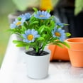 thumbnail image 3 of Ltdhehe Bonsai Desk Arrangement Home Centerpiece Wedding, 3 of 5