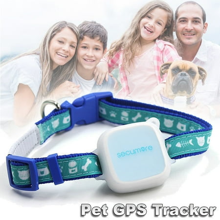 Pet GPS Tracker Device Collar & Activity Monitor Locator Real Time for Pet Cats Dogs, Waterproof, Anti Lost Finder Global Monitor Tracker, Network Tracking,Pet Training (Best Gps Collar For Cats)