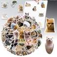 thumbnail image 1 of Compra 50 pegatinas de gatos bonitos sin repetir para equipaje, cuadernos, vasos, teléfonos móviles y juguetes, 1 of 8