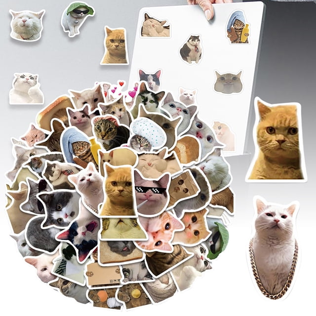 Compra 50 pegatinas de gatos bonitos sin repetir para equipaje, cuadernos, vasos, teléfonos móviles y juguetes