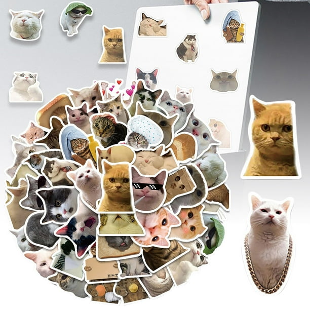Compra 50 pegatinas de gatos bonitos sin repetir para equipaje, cuadernos, vasos, teléfonos móviles y juguetes