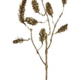 thumbnail image 3 of Northlight 52" Gold Glittered Pine Hanging Artificial Christmas Spray, 3 of 3