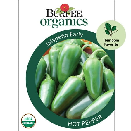 Burpee Organic Jalapeño Early Hot Pepper Vegetable Seed, 1-Pack