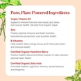 thumbnail image 4 of Pure Synergy Vita-Min-Herb®, Men's Multivitamin, 120 Tablets, 4 of 9