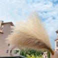 thumbnail image 5 of uds. Faux artificial 5 d pampas grass pared grande 45 cm azul pequeño esmerilado artificial uva pampas grass con jarrón Sincero Hogar, 5 of 5