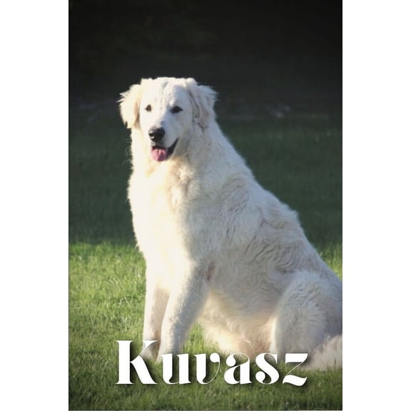 Kuvasz : Dog breed overview and guide (Paperback)